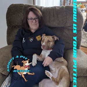 Meet your Posher, Laura